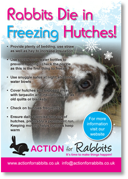 Rabbits die in freezing hutches.pdf