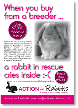 Rabbit from a breeder.pdf