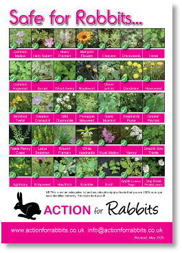 Safe Plants May 2020.pdf